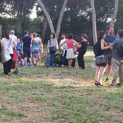 La manifestazione in Pineta