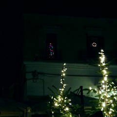 L'albero di Natale in piazza Ferrarese