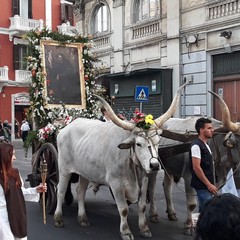 Il corteo di Sant'Antonio