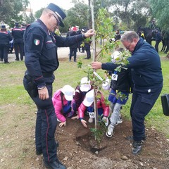 L'iniziativa che ha coinvolto i Carabinieri Forestali per la Festa dell'Albero a San Pio