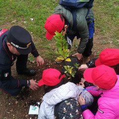 L'iniziativa che ha coinvolto i Carabinieri Forestali per la Festa dell'Albero a San Pio