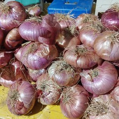 Festa della Cipolla Rossa Acquaviva delle Fonti