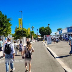 88^ Campionaria Internazionale Fiera del Levante