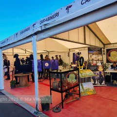 88^ Campionaria Internazionale Fiera del Levante