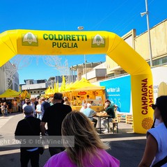 88^ Campionaria Internazionale Fiera del Levante