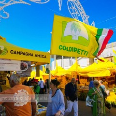 88^ Campionaria Internazionale Fiera del Levante