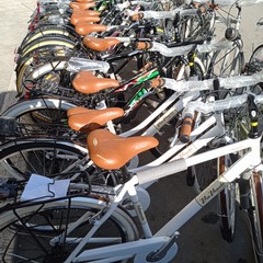Frama Sport Barletta