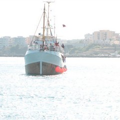 Freedom Flotilla per la Palestina