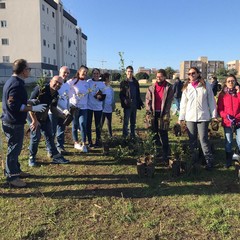 il bosco sociale al san paolo