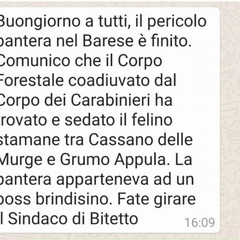 il messaggio whatsapp