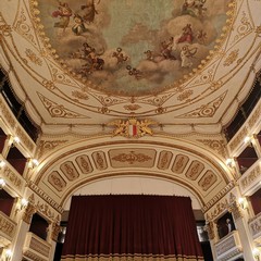 teatro piccinni