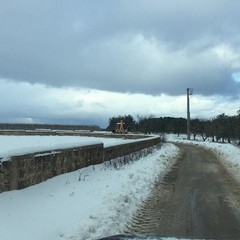 La Puglia sotto la neve