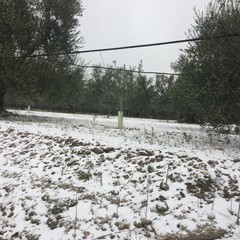 La Puglia sotto la neve