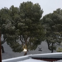 La Puglia sotto la neve