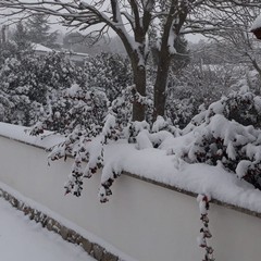 La Puglia sotto la neve