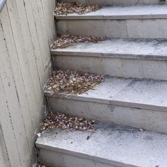 degrado cimitero di bari