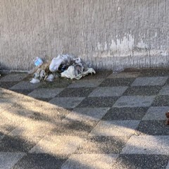 degrado cimitero di bari