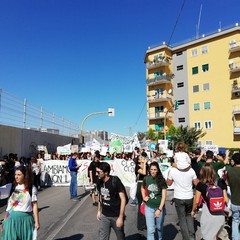 Il corteo di Fridays For Future