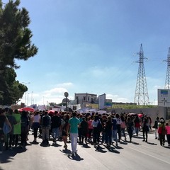 Il corteo di Fridays For Future