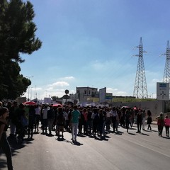 Il corteo di Fridays For Future