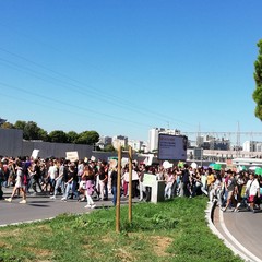 Il corteo di Fridays For Future