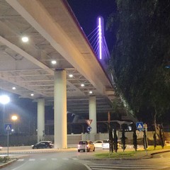 Il ponte Adriatico