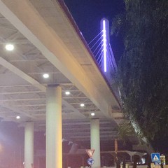 Il ponte Adriatico