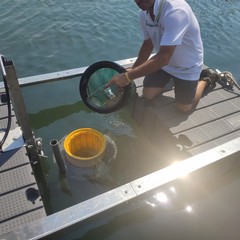 Il Seabin a Bari