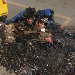 Cassonetto incendiato libertà