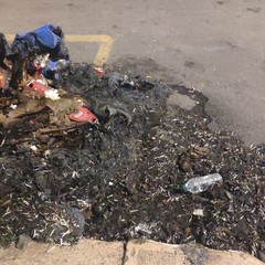 Cassonetto incendiato libertà