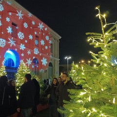 L'accensione dell'albero a Bari