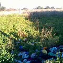 Immondizia a terra a Bari