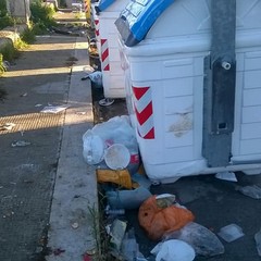 Immondizia a terra a Bari