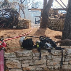 Incendio presso il Ranch Natalino di Bitritto: intervenuti i Vigili del Fuoco
