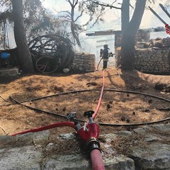 Incendio presso il Ranch Natalino di Bitritto: intervenuti i Vigili del Fuoco