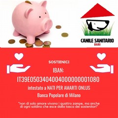 Lappello del canile sanitario di Bari