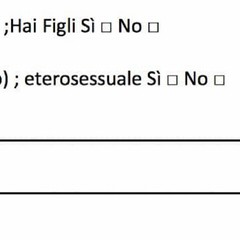 La domanda del questionario