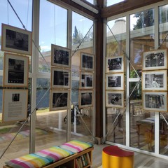 Le foto della mostra