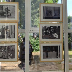 Le foto della mostra