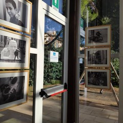 Le foto della mostra