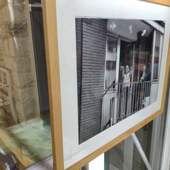 Le foto della mostra