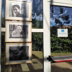 Le foto della mostra