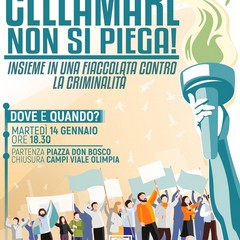 manifestazione cellamare