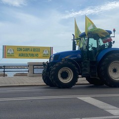 Trattori a Bari: Coldiretti si mobilita per chiedere interventi contro le emergenze agricole