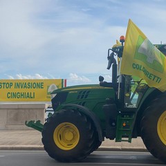 Trattori a Bari: Coldiretti si mobilita per chiedere interventi contro le emergenze agricole