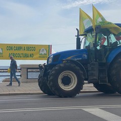 Trattori a Bari: Coldiretti si mobilita per chiedere interventi contro le emergenze agricole