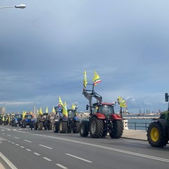 Trattori a Bari: Coldiretti si mobilita per chiedere interventi contro le emergenze agricole