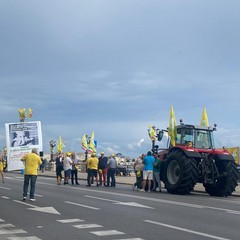 Trattori a Bari: Coldiretti si mobilita per chiedere interventi contro le emergenze agricole