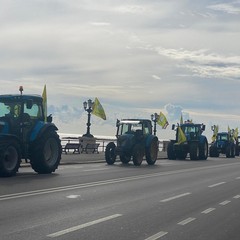 Trattori a Bari: Coldiretti si mobilita per chiedere interventi contro le emergenze agricole