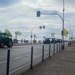 Trattori a Bari: Coldiretti si mobilita per chiedere interventi contro le emergenze agricole